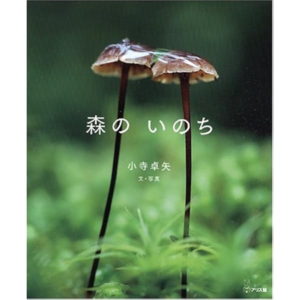 Amazon.co.jp: どうぶつたちのおかいもの (こどものとも700号記念