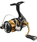 Amazon | ダイワ(DAIWA) スピニングリール 16 BG 3500H(2016モデル