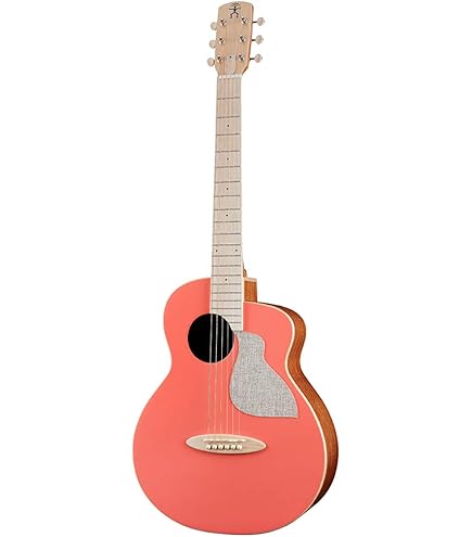 Amazon | アコースティックギター アヌエヌエ バードギター aNueNue 