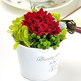 花花 プリザーブドフラワー 手のひらサイズ ブリキバケツ （ カーネーション ） 枯れない お花 お祝い プチギフト プレゼント 【 メッセージカード / ラッピング 無料 】( レッド )
