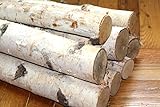 Northern White Birch logs. 8ログのセット