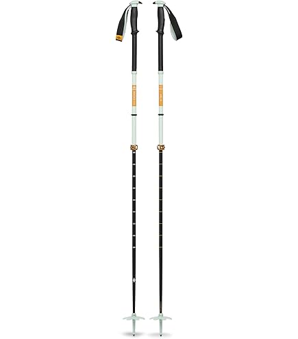 Amazon | Black Diamond ブラックダイヤモンド カーボンウィペット