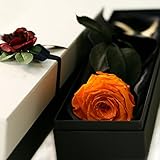 Makefuture　プリザーブドフラワー ギフト ダイヤモンドローズ プロポーズ 一輪 薔薇 (マンダリンオレンジ)