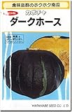 カボチャ（南瓜種子）・ダークホース（11粒）