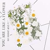 Flower raisin 押し花 押し花セット かわいい押し花でオリジナルハンドメイド！ (White set)