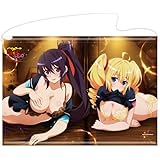 ハイスクールD×D HERO B2タペストリー 朱乃＆レイヴェル フライト ver.