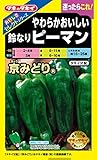 タキイ種苗 おいしさセレクト やわらかおいしい 鈴なりピーマン 京みどり