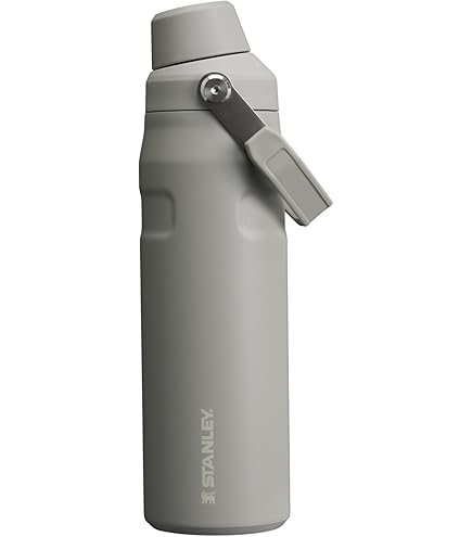 Amazon.co.jp: Stanley (スタンレー) IceFlow ファストフロー