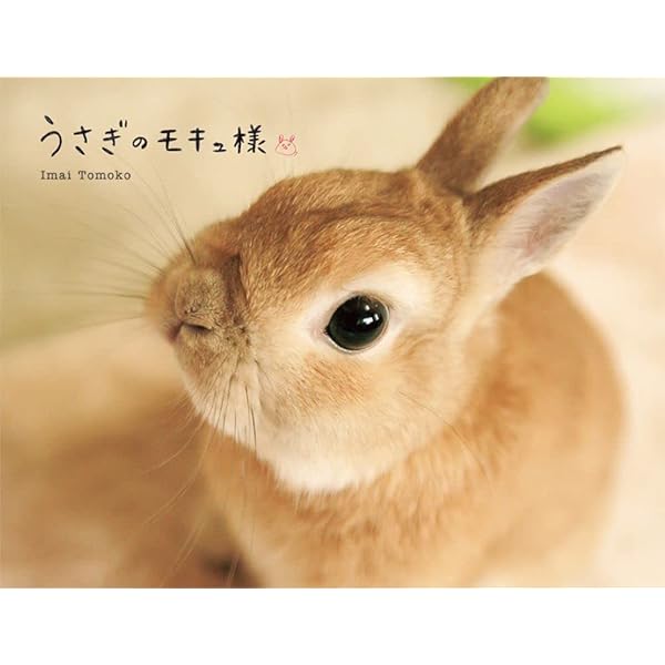 うさぎ様には敵わない | 中山ますみ |本 | 通販 | Amazon