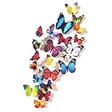 Amaonm?24 Pcs Removable Diy Pvc 3d Colorful Butterfly Wall Sticker Murals Wall Decals Wall Decoratio