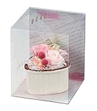 Paseo クリアケース入り プリザーブドフラワー カラフルスウィートL ピンク 10.5×10.5×H13cm M-11B