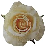 ヴァリエローズ L ミルクティー 61-10001-24