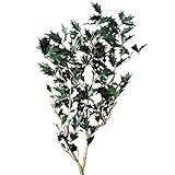 ~Coco Heart~　プリザーブド　ヒイラギ　グリーン(プリザブドフラワー・リース）