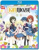 Kinmoza! Seasons 1 & 2 Complete Collection Blu-ray