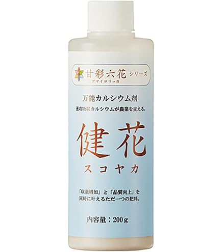 Amazon.co.jp: パナソニック 乳酸カルシウム製剤 TK73202 : ドラッグストア
