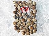 あさり (冷凍) 殻付 Ｌ 500g （41/50）×20パック