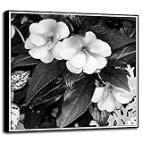 小さな白い花by Harold Silverman – 花 18"x18" ホワイト 59776-36-25FUSA