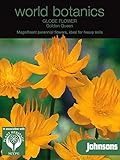 WB 英国ジョンソンズシード Johnsons Seeds world botanics collection Globe Flower=Troilius Golden Queen グローブ・フラワー