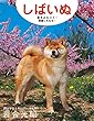 2019年卓上カレンダー しばいぬ ([カレンダー])