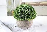 Kooyi 光触媒 インテリア グリーン フェイクグリーン 人工観葉植物 鉢植え (多層草, グリーン)
