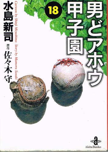『男どアホウ甲子園』18巻
