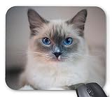 青い目の猫のマウスパッド：フォトパッド（世界の猫シリーズ） (B)