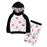 Sikye Baby Toddler Boy Girl 's Cute Foxプリントパーカートップス+パンツセット服 3t ku-02