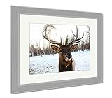 AshleyキャンバスRoyal Red Deer Buck With Antlers Look at theカメラ、壁アートホーム装飾、ag4933726 26" x 30", Silver Fra