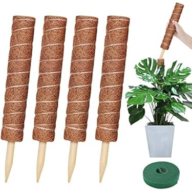 Amazon.co.jp 人気ギフトランキング: ガーデニング用支柱 で、ギフトの