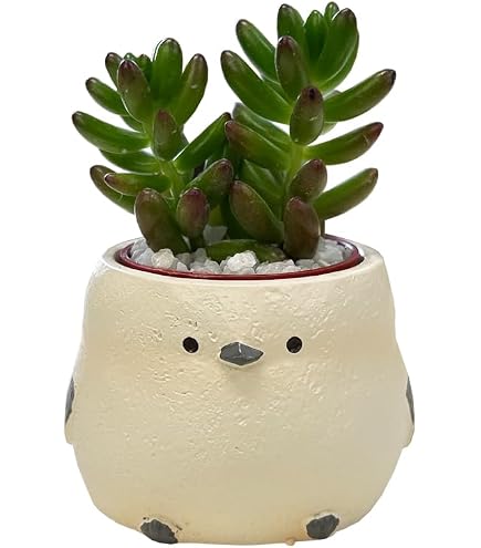 Amazon｜（観葉植物）おまかせミニ観葉 リトルアニマル シマエナガ（1