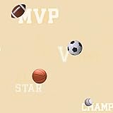 York Wallcoverings ZB3187SMP Boys Will Be Boys II Sports Ball 8-Inch x 10-Inch Memo Sample Wallpaper