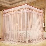 kqcnifvnklmソリッド4つコーナーMosquito Netベッドキャノピー、メッシュ韓国プリンセスベッドキャノピー3ドアステンレススチール暗号化Top Mosquito Net Twinch2