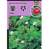 新ヤマケイポケットガイド5 薬草 (新ヤマケイポケットガイド 5)