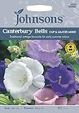 JOFL 英国ジョンソンシード Campanula Cantabery Bells Cup & Saucer Mixedカンパニュラ・カンタベリー・ベルズ・カップ・アンド・ソーサー・ミックス