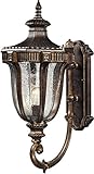 Elk 45061/1 10 by 22-Inch Sturgess Castle 1-Light Outdoor Wall Sconce with Seedy Glass Shade, Regal 
