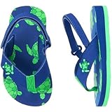 ジンボリー GYMBOREE/ タートルフリップフラップ ブルー シューズ 11～12cm【並行輸入】