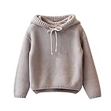 Taiycyxgan赤ちゃん子供男の子女の子プルオーバーニットセーターソリッドカラーSweatshirt with Hood カラー: グレー