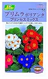 カネコ種苗 草花タネ242 プリムラポリアンタ プリンセス ミックス 10袋セット