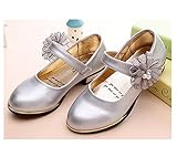 Candykids ガールズシューズ キッズフォーマルシューズ 女の子靴子供シューズ発表会 卒入園式 ドレス合わせシューズ 子供靴 蝶結び　プリンセスシューズ (内寸22.1cm, シルバー)