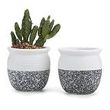 T4U 6CM 陶器ミ二植木鉢 韓国風の雪花シリーズ No.6 円柱形 多肉植物 サボテン鉢 フラワーポット プランター容器 2個入り