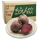 ちえんのうえん ビーツ 1kg Fresh Beet 農薬不使用 Pesticide-free 国産 農家 神奈川県産