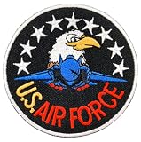 ワッペン アイロン ミリタリー US ARMY AIR FORCE コンドル アーミー アメリカ エンブレム アメカジ 刺しゅう アップリケ パッチ