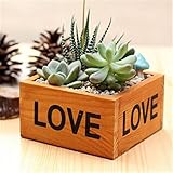 レトロなスタイルの木製多肉植物広場フラワーポットガーデンハンドメイドの植え Flowerpot