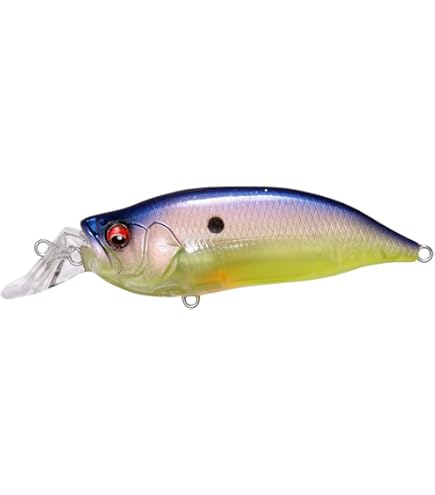 Amazon.co.jp: メガバス(Megabass) ルアー IXI SHAD