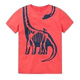 恐竜シャツT男の子、女の子、Franterd夏動物トップスTシャツ服子供用サイズ18 M 2 3 4 5t 5T