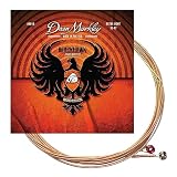 Dean Markley コーティングアコースティック弦 Black Hawk Coated Acoustic -Phosphor Bronze- 8010 Extra Light .010-.047