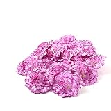 SUND　造花　カーネーション　花のみ　獅子咲き　花　20輪セット　DIY　手作り　インテリア　雑貨　花部分のみ　シルクフラワー　可愛いカラバリ 高品質　造花　枯れない　結婚式　誕生日　発表会　入学式