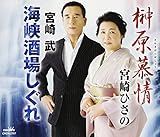 �匴���/�C�����ꂵ����