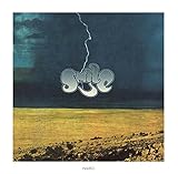 A Flash In The Night [Analog]