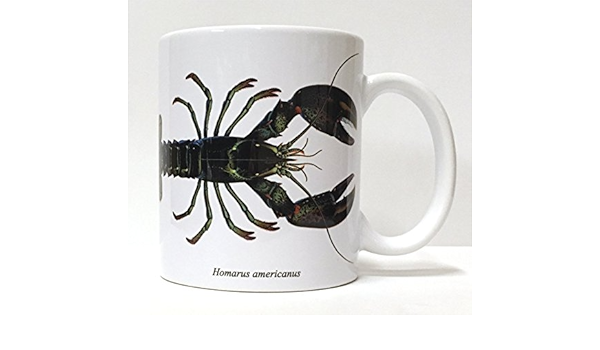 Amazon Co Jp 杉浦千里イラストマグカップ アメリカンロブスター ホーム キッチン